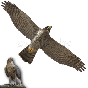 Визуальный отпугиватель птиц "Хищник 1" (48 x 100 см)
